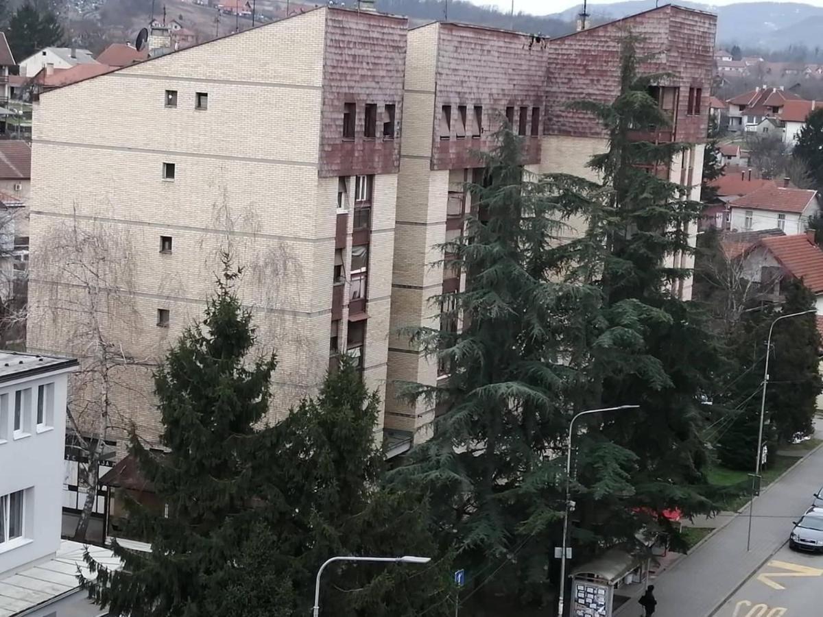 Apartman Vesna Banja Koviljaca Exterior photo